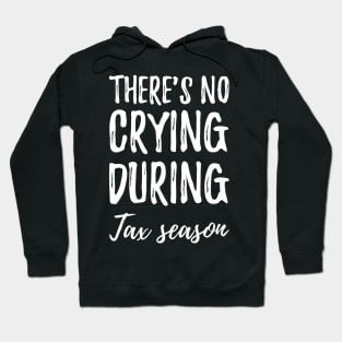 There's no crying during tax season Hoodie